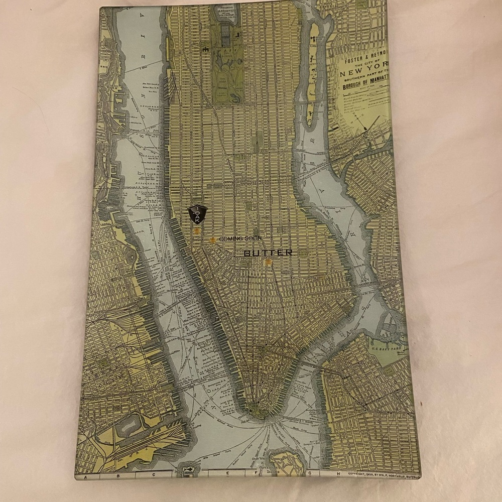 Ben's Garden Decoupage Tray- NYC